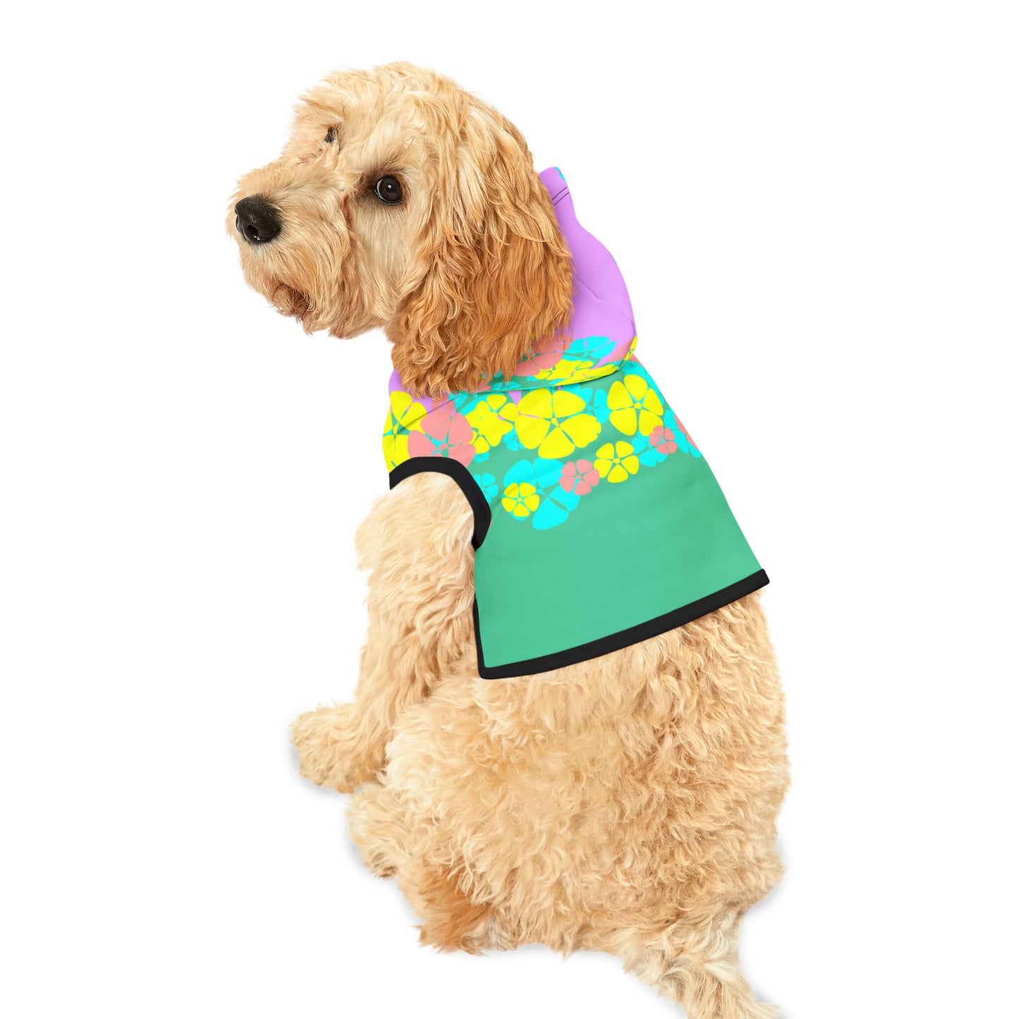 dog-hoodie-custom