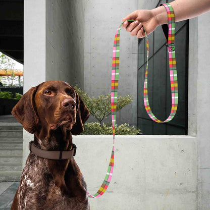 A dog with a colorful trendy dog leash held by a person outdoors