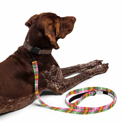 Brown dog with a name personalized plaid dog leash